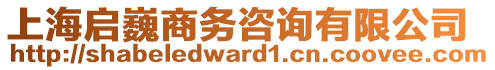 上海啟巍商務(wù)咨詢有限公司