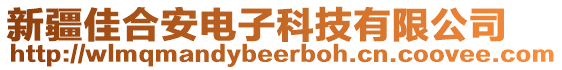 新疆佳合安電子科技有限公司