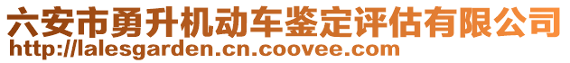 六安市勇升機動車鑒定評估有限公司