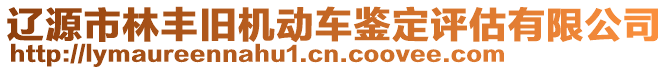 遼源市林豐舊機動車鑒定評估有限公司