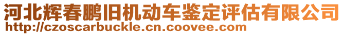 河北輝春鵬舊機動車鑒定評估有限公司