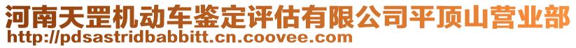 河南天罡機動車鑒定評估有限公司平頂山營業(yè)部