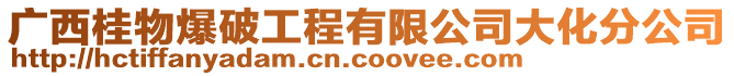 廣西桂物爆破工程有限公司大化分公司