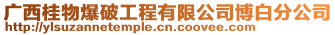 廣西桂物爆破工程有限公司博白分公司