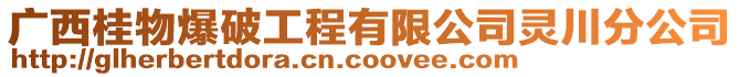 廣西桂物爆破工程有限公司靈川分公司