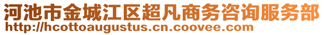 河池市金城江區(qū)超凡商務咨詢服務部