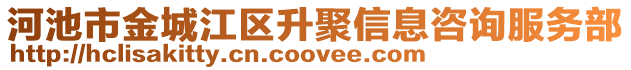 河池市金城江區(qū)升聚信息咨詢服務部