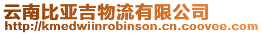 云南比亞吉物流有限公司