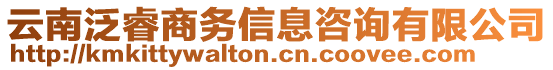 云南泛睿商務(wù)信息咨詢有限公司