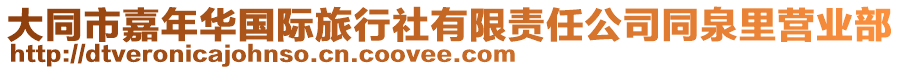 大同市嘉年华国际旅行社有限责任公司同泉里营业部