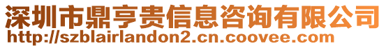 深圳市鼎亨貴信息咨詢有限公司