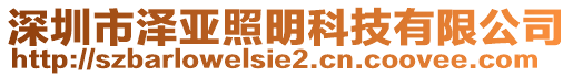 深圳市澤亞照明科技有限公司