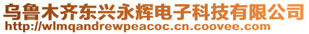 烏魯木齊東興永輝電子科技有限公司