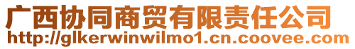 廣西協(xié)同商貿(mào)有限責任公司