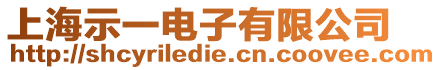 上海示一電子有限公司