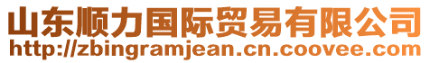 山東順力國(guó)際貿(mào)易有限公司