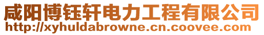 咸陽博鈺軒電力工程有限公司