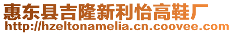 惠東縣吉隆新利怡高鞋廠