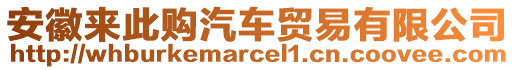 安徽來此購汽車貿(mào)易有限公司