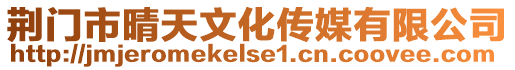 荊門市晴天文化傳媒有限公司