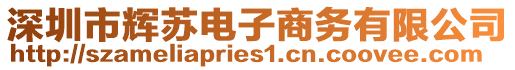 深圳市輝蘇電子商務有限公司