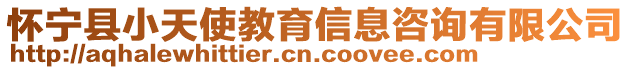 懷寧縣小天使教育信息咨詢有限公司