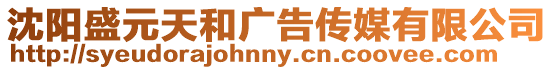 沈陽盛元天和廣告?zhèn)髅接邢薰? style=