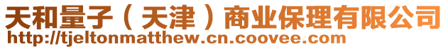 天和量子(天津)商業保理有限公司
