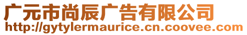 廣元市尚辰廣告有限公司