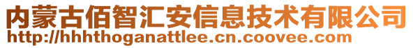 內(nèi)蒙古佰智匯安信息技術(shù)有限公司