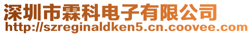 深圳市霖科電子有限公司