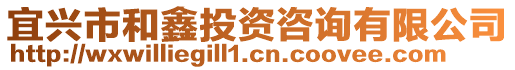 宜興市和鑫投資咨詢有限公司