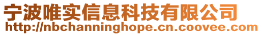 寧波唯實(shí)信息科技有限公司