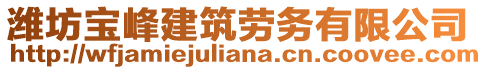 濰坊寶峰建筑勞務(wù)有限公司