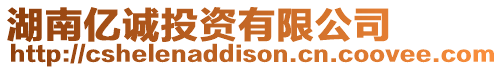 湖南億誠投資有限公司
