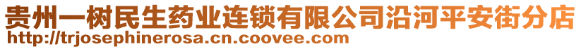 貴州一樹民生藥業(yè)連鎖有限公司沿河平安街分店