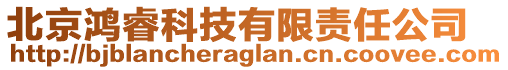 北京鴻?？萍加邢挢?zé)任公司