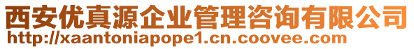 西安優(yōu)真源企業(yè)管理咨詢有限公司