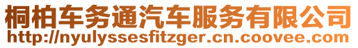 桐柏车务通汽车服务有限公司