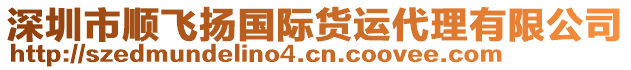 深圳市順飛揚國際貨運代理有限公司