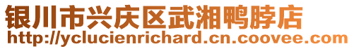 銀川市興慶區(qū)武湘鴨脖店