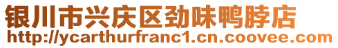 銀川市興慶區(qū)勁味鴨脖店