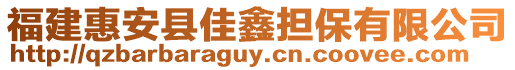 福建惠安縣佳鑫擔保有限公司