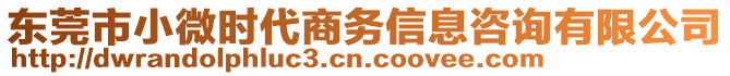 東莞市小微時(shí)代商務(wù)信息咨詢有限公司