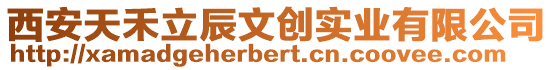 西安天禾立辰文創實業有限公司