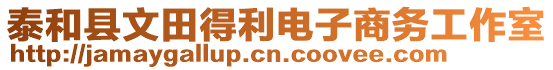 泰和縣文田得利電子商務(wù)工作室