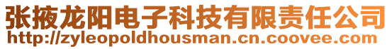 張掖龍陽電子科技有限責任公司