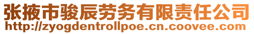 張掖市駿辰勞務有限責任公司