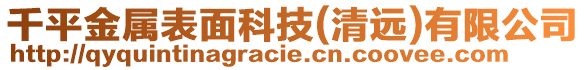 千平金屬表面科技(清遠(yuǎn))有限公司