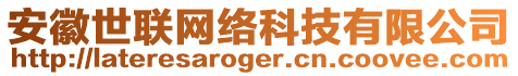 安徽世聯(lián)網(wǎng)絡(luò)科技有限公司